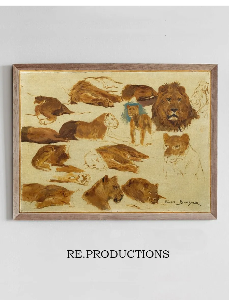 A Sketch of Lions and Lionesses