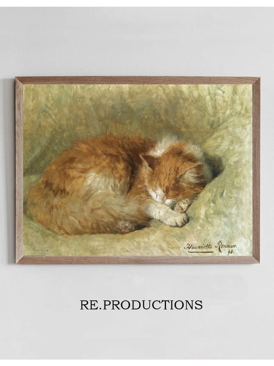 A Sleeping Cat