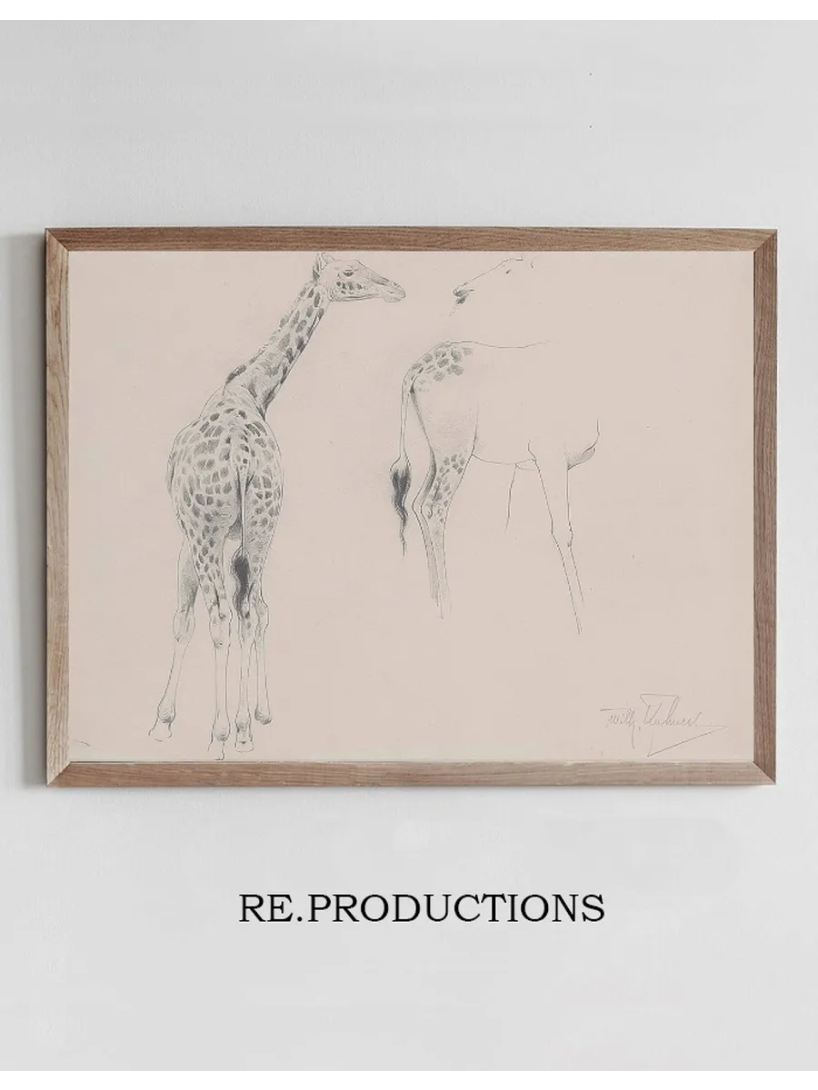 A Study of Two Giraffes