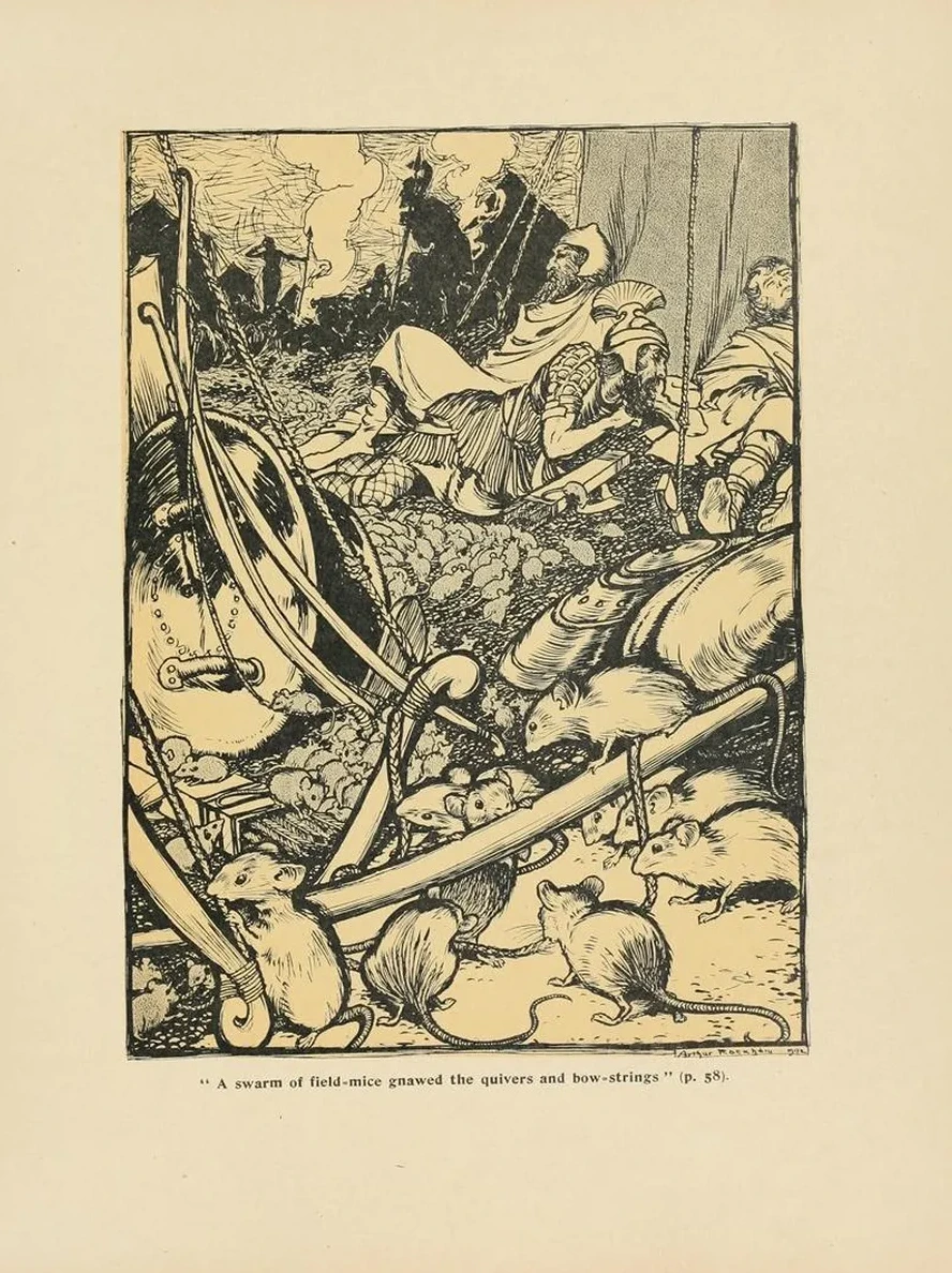 A Swarm of Field - Mice Gnawed the Quivers and Bow - Strings