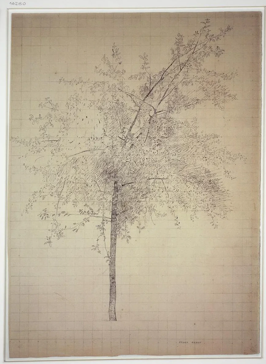 A Tree