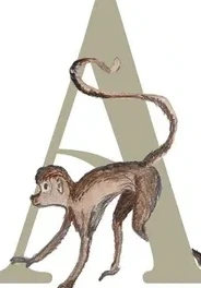 A - Abe