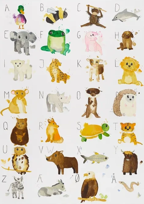 ABC