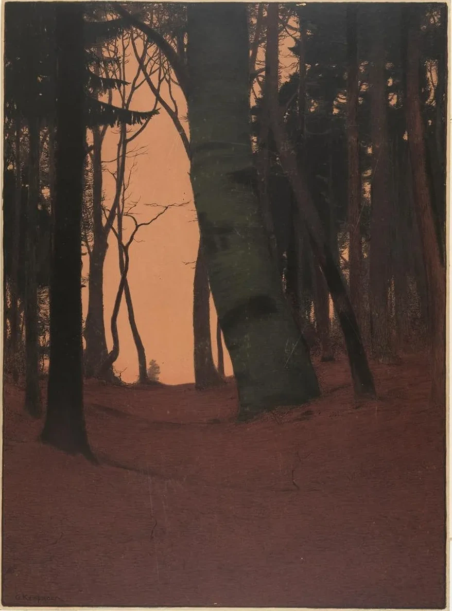 Abend im Wald