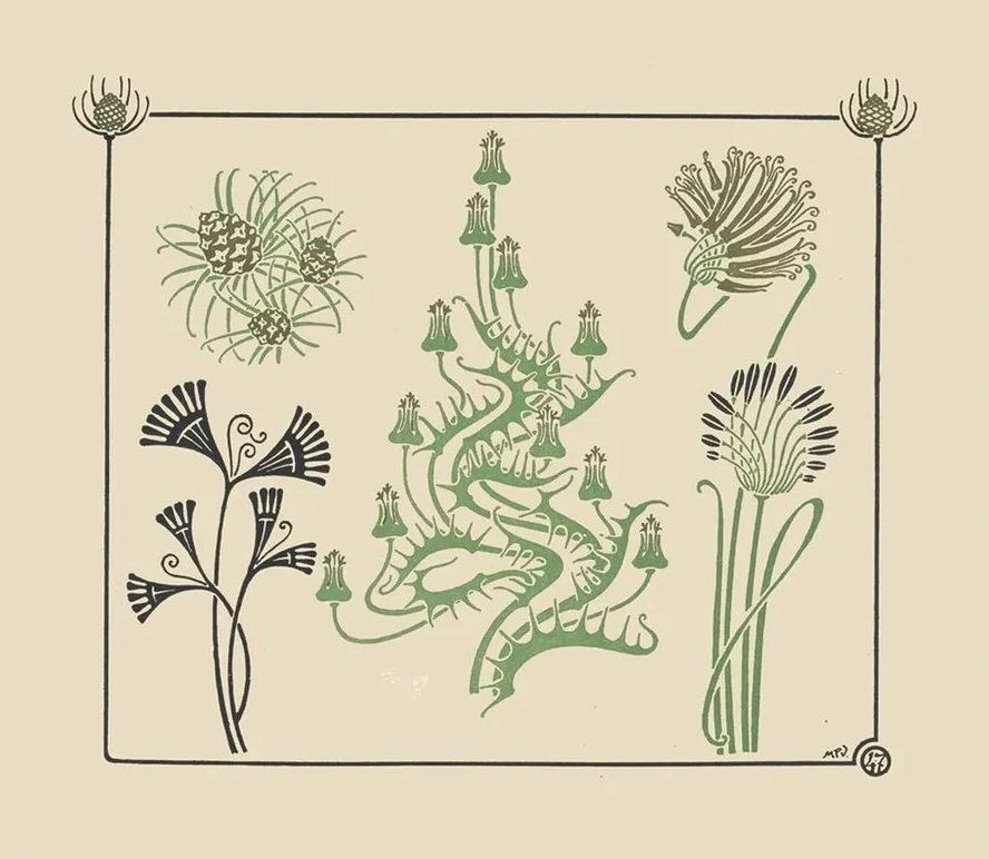 Abstract Design Based on Flowers and Pinecones