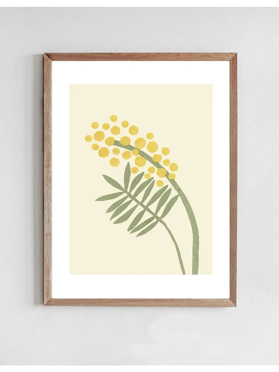 Acacia