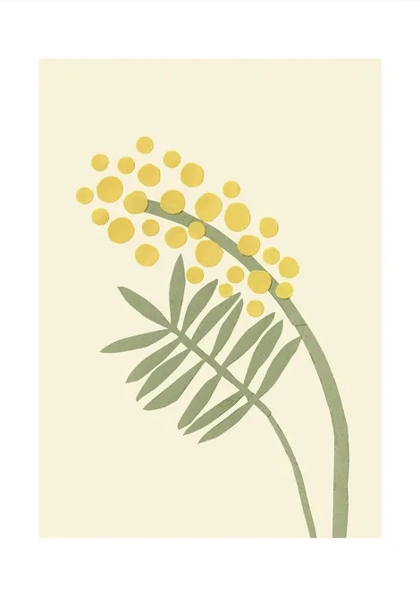 Acacia