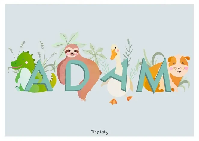 Adam - Bl