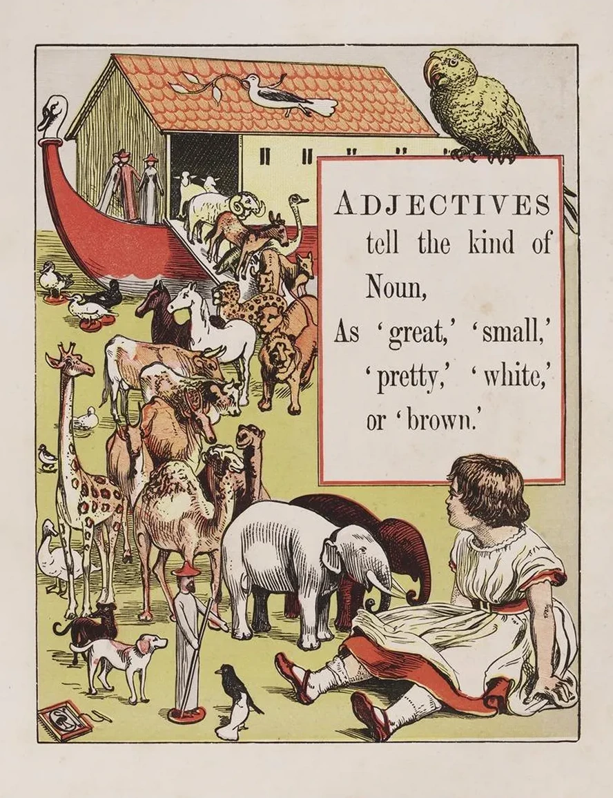 Adjectives