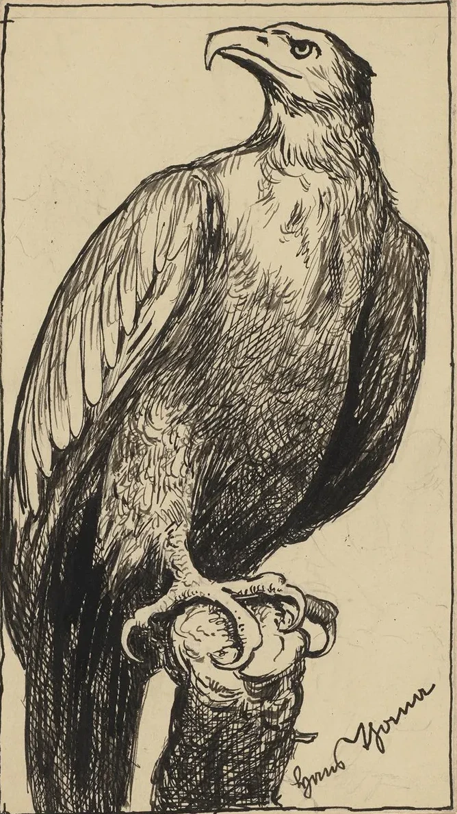 Adler