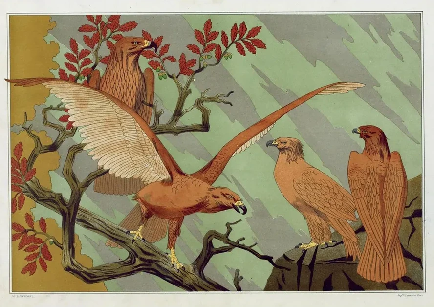 Aigles