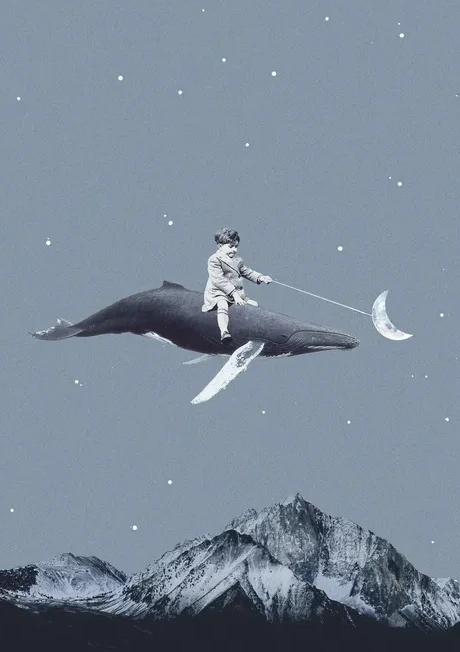 Aim for the Moon