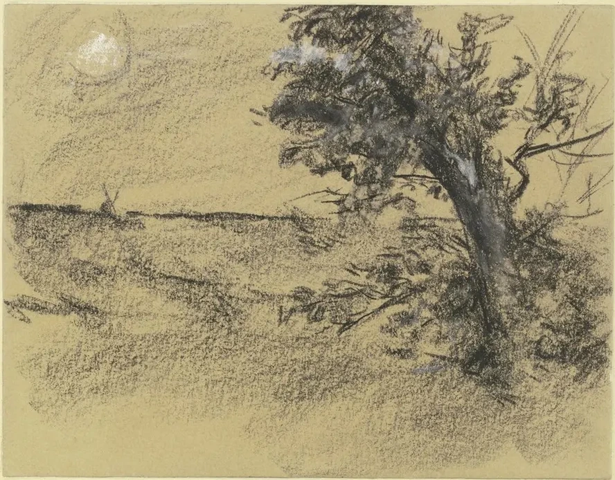 Alder at the Edge of a Meadow
