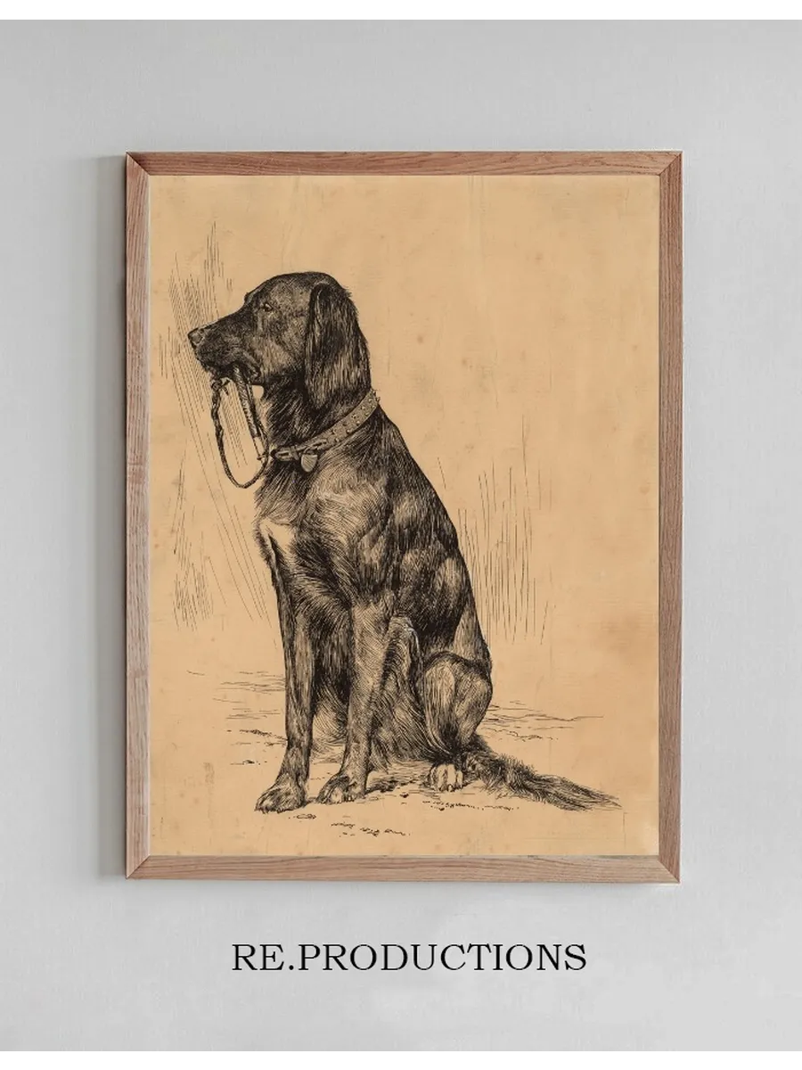 Aldrich's Dog