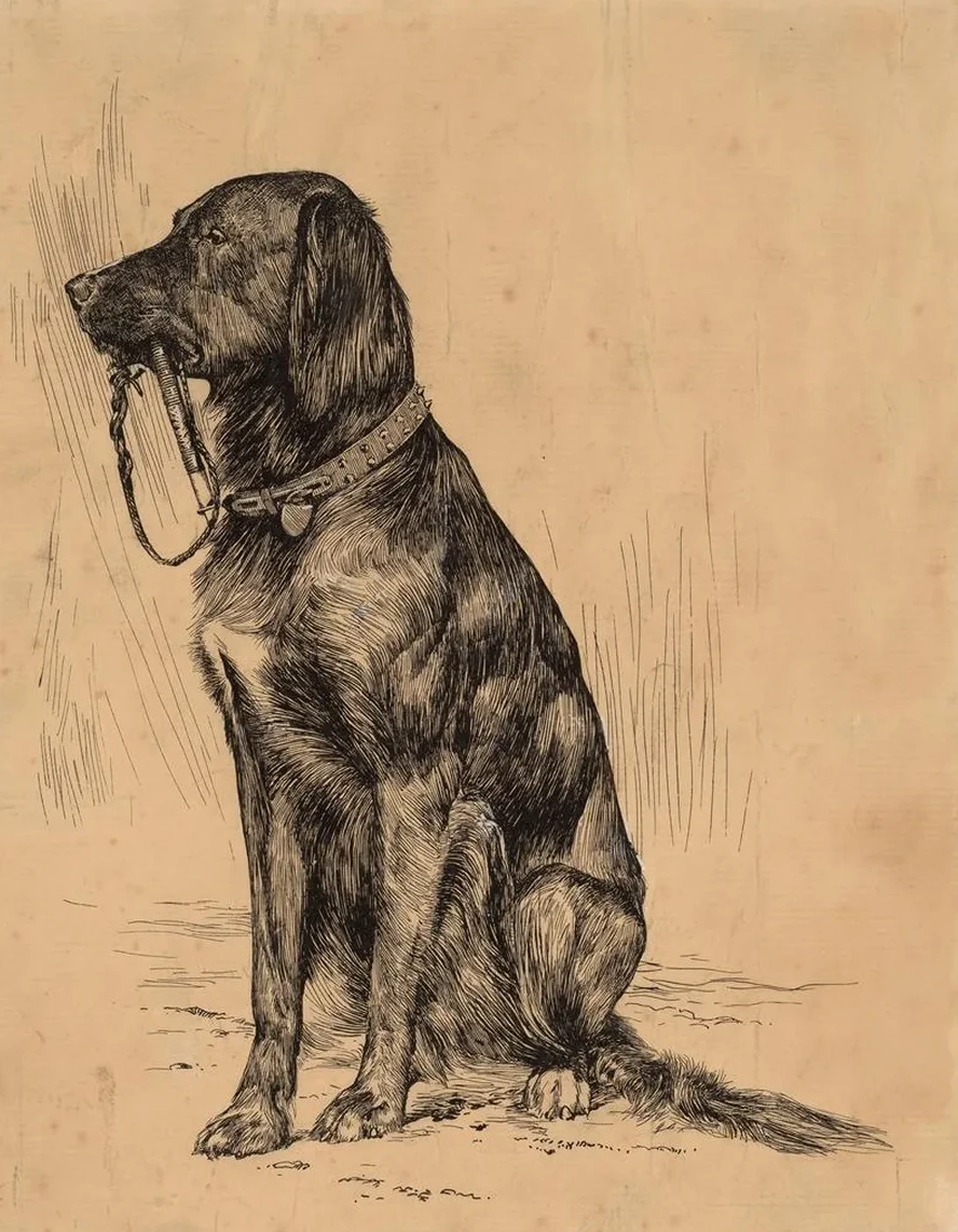 Aldrich's Dog