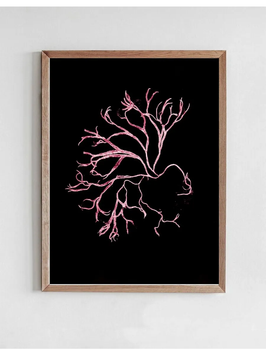 Algae Pink