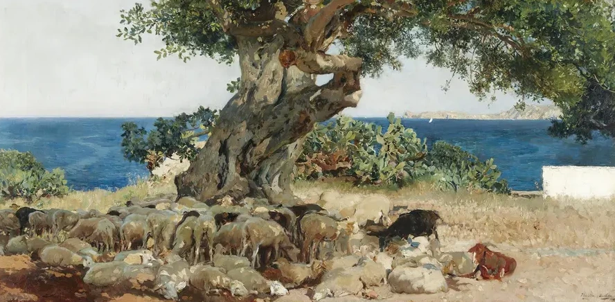 Algarrobo (The Carob Tree)