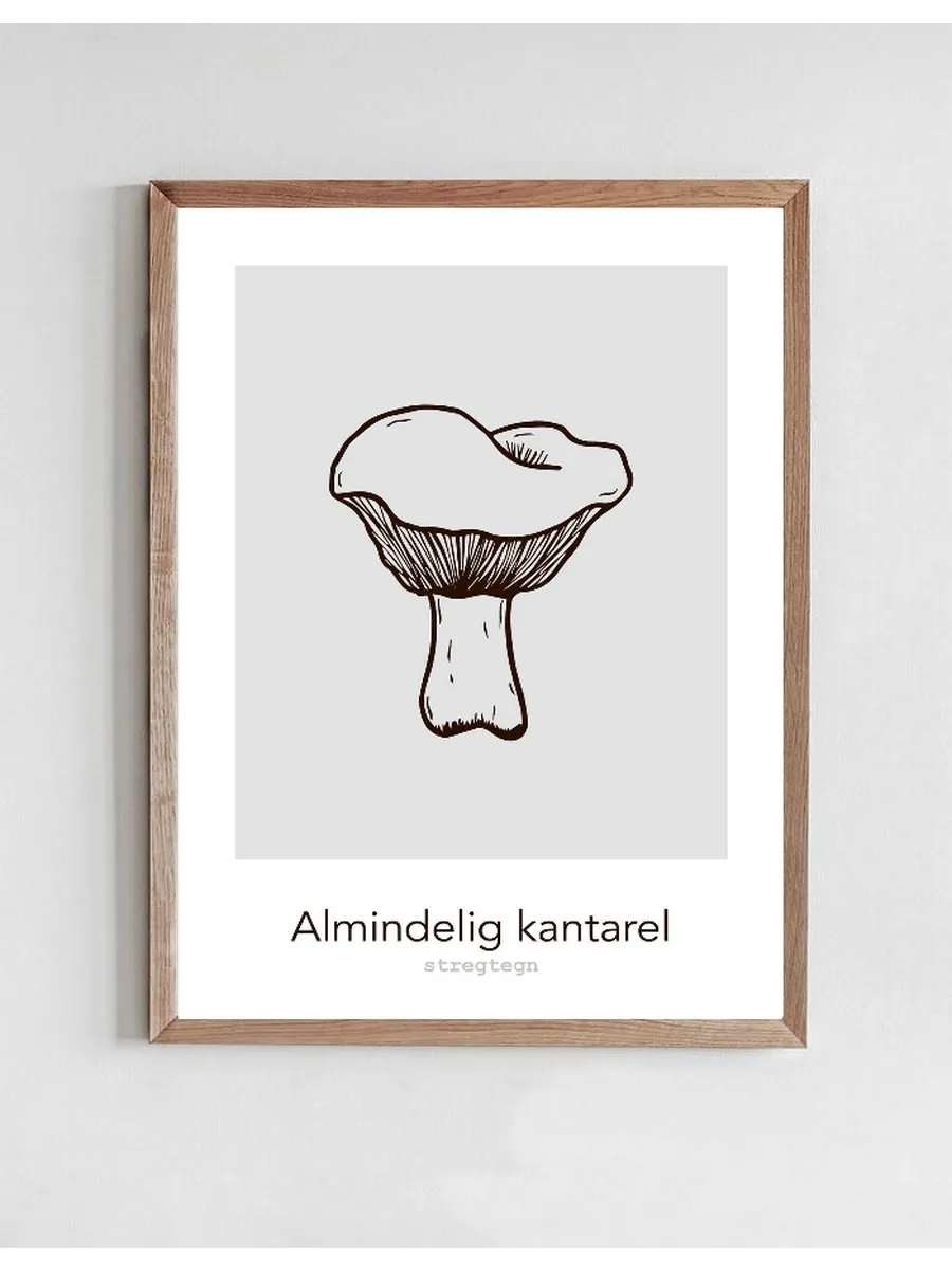 Almindelig Kantarel