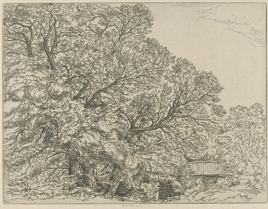 Alna Willows