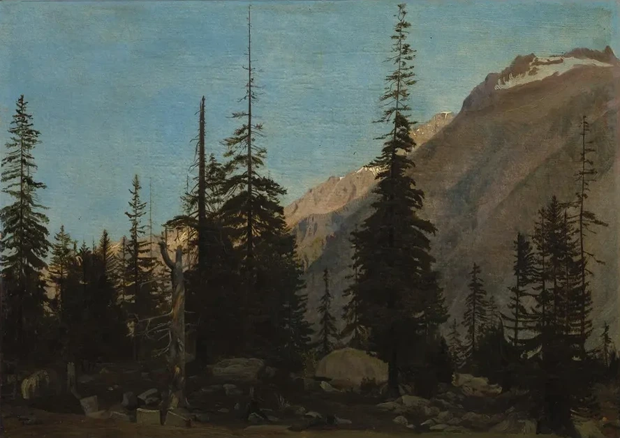 Alpine Landscape, The Handegg, Switzerland