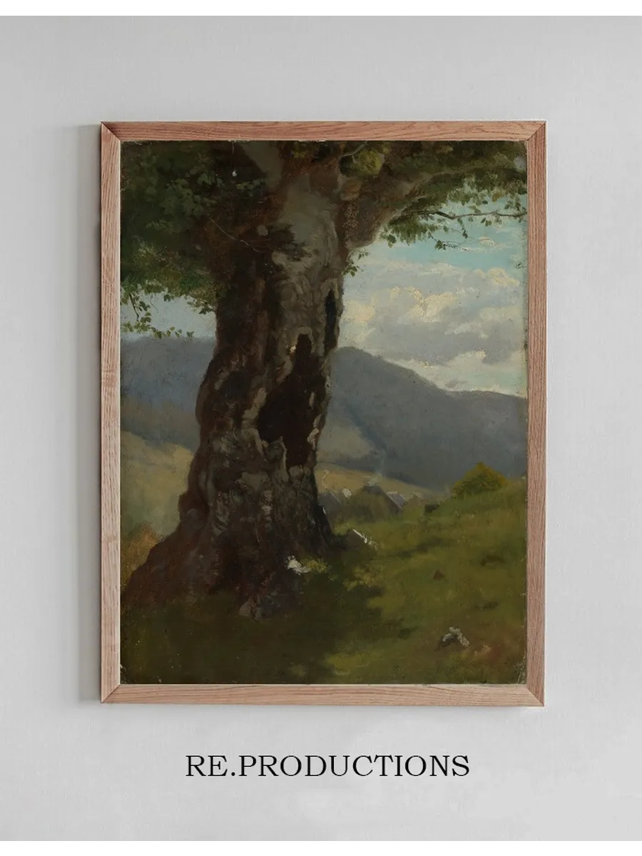 Alter Baumstamm mit Blick ins Tal