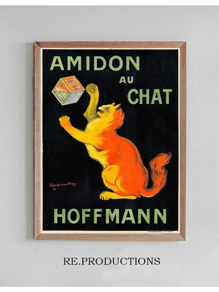 Amidon Au Chat