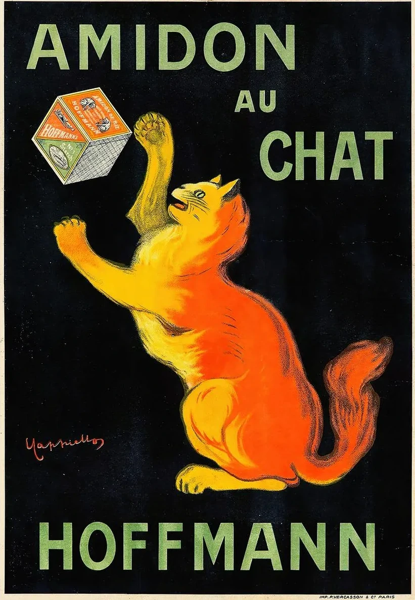 Amidon Au Chat