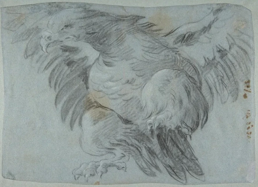 An Eagle with Wings Spread