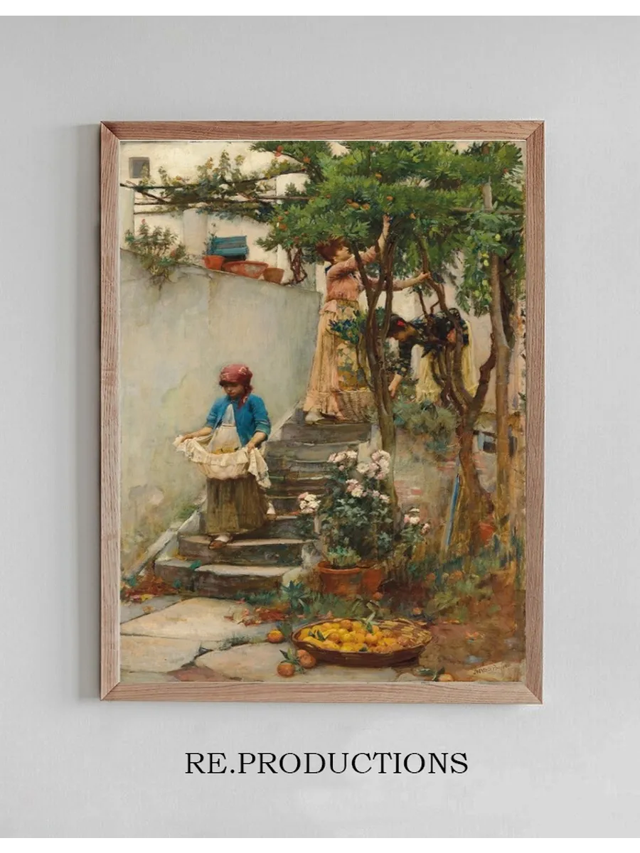 An Orange Garden