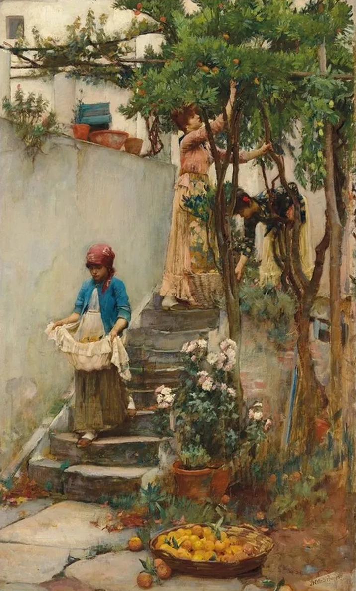 An Orange Garden