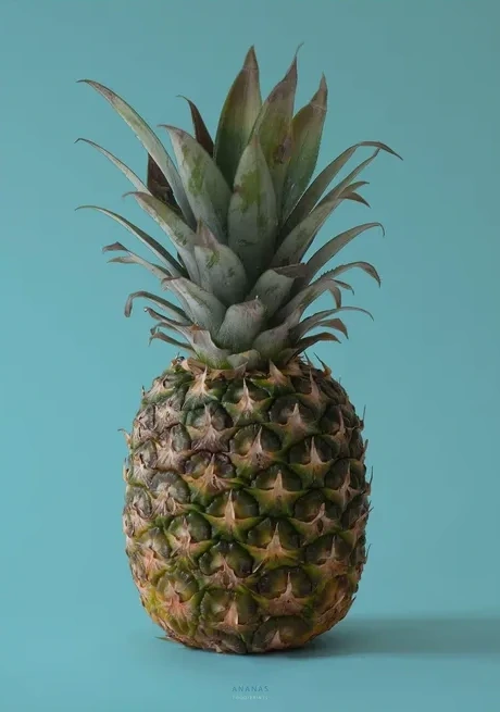 Ananas - Bl