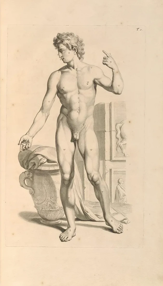Anatomia Humani Corporis Pl.002