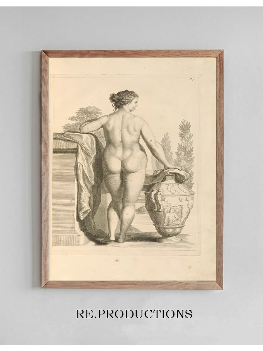 Anatomia Humani Corporis Pl.004