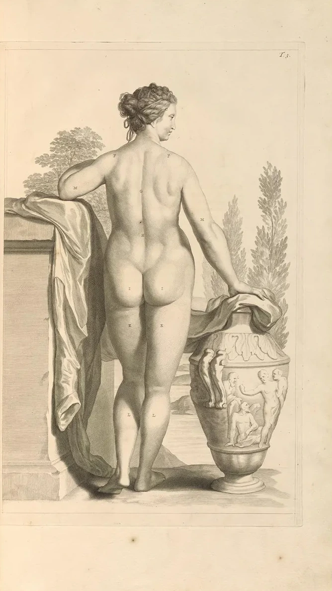 Anatomia Humani Corporis Pl.004