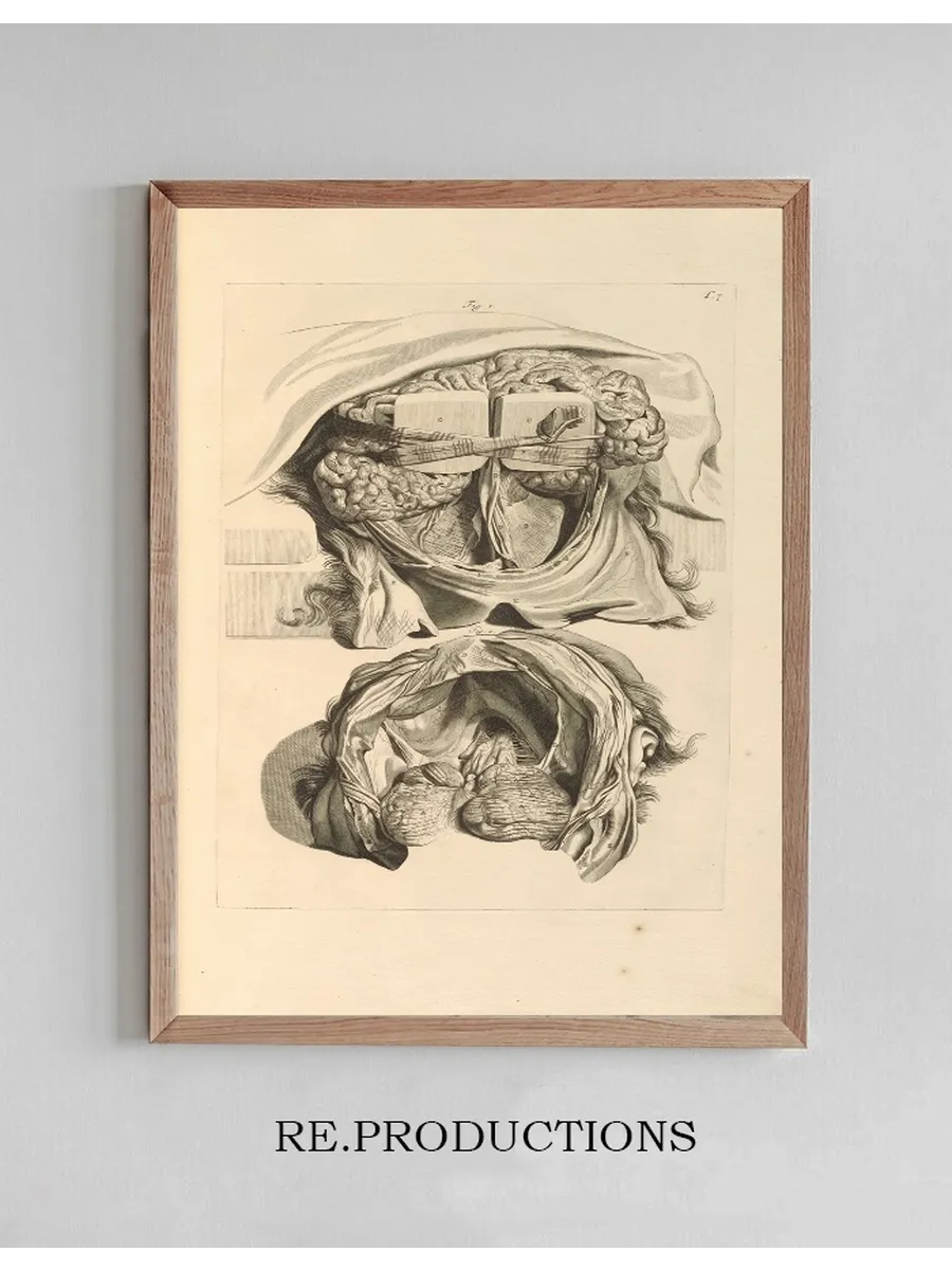 Anatomia Humani Corporis Pl.008