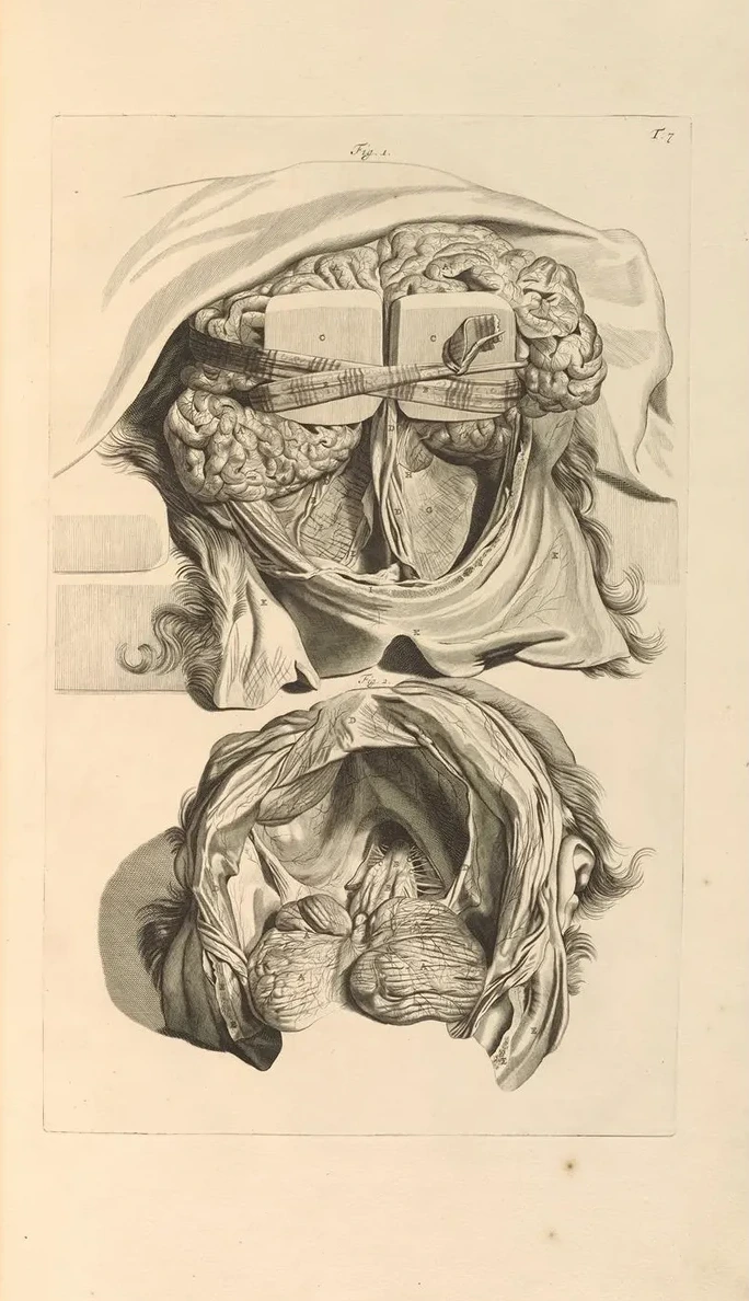 Anatomia Humani Corporis Pl.008