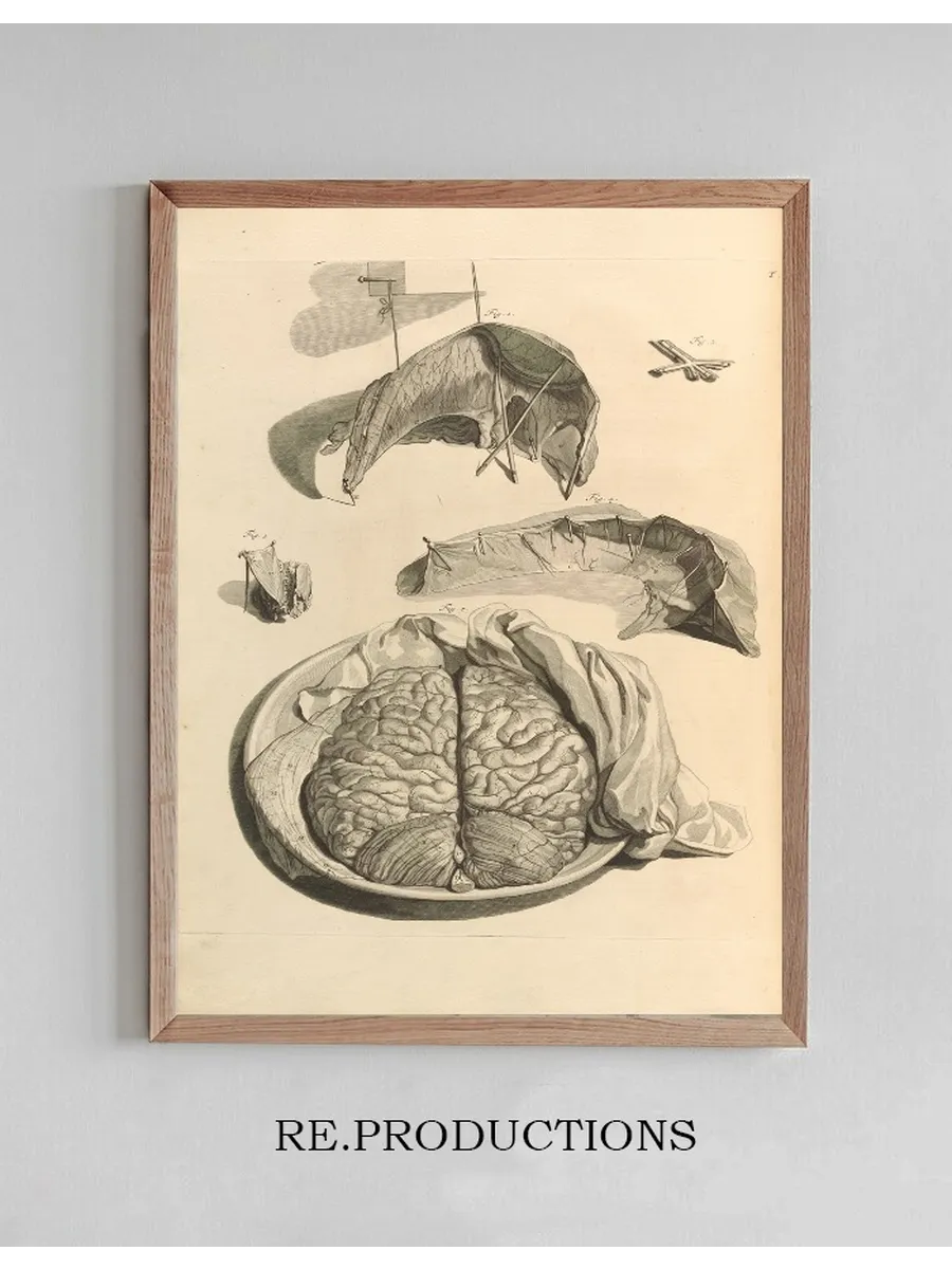 Anatomia Humani Corporis Pl.009
