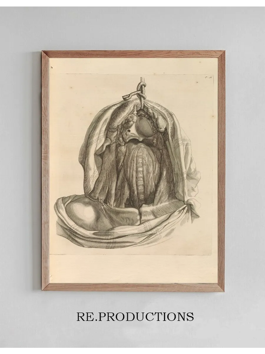 Anatomia Humani Corporis Pl.019