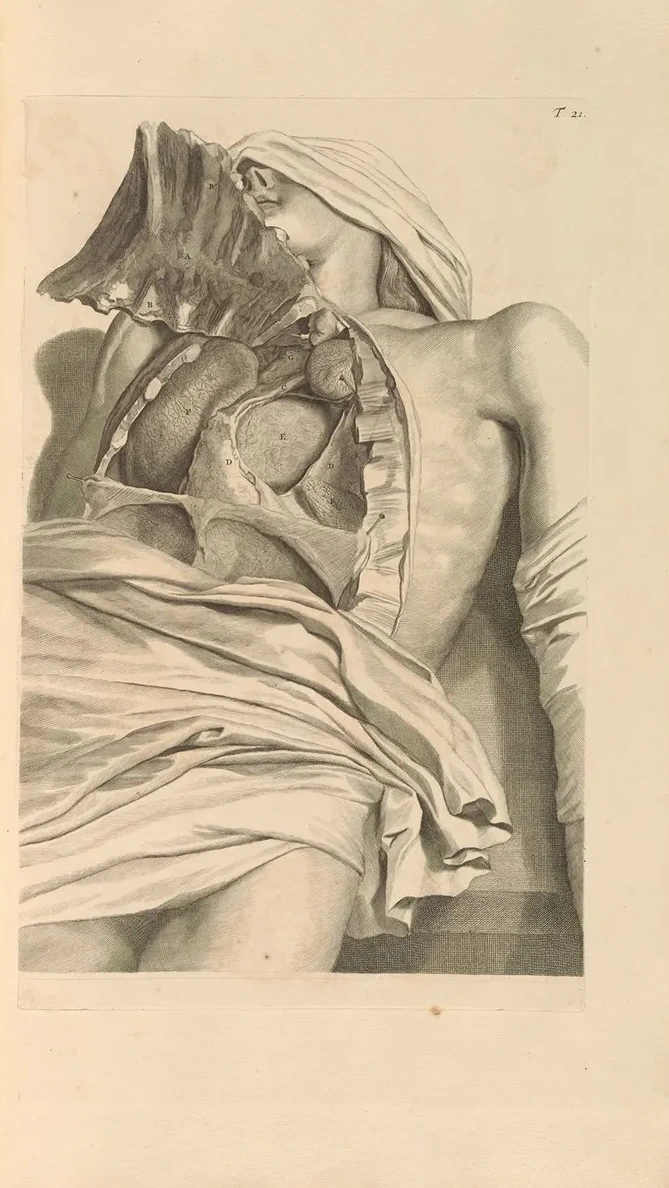Anatomia Humani Corporis Pl.022