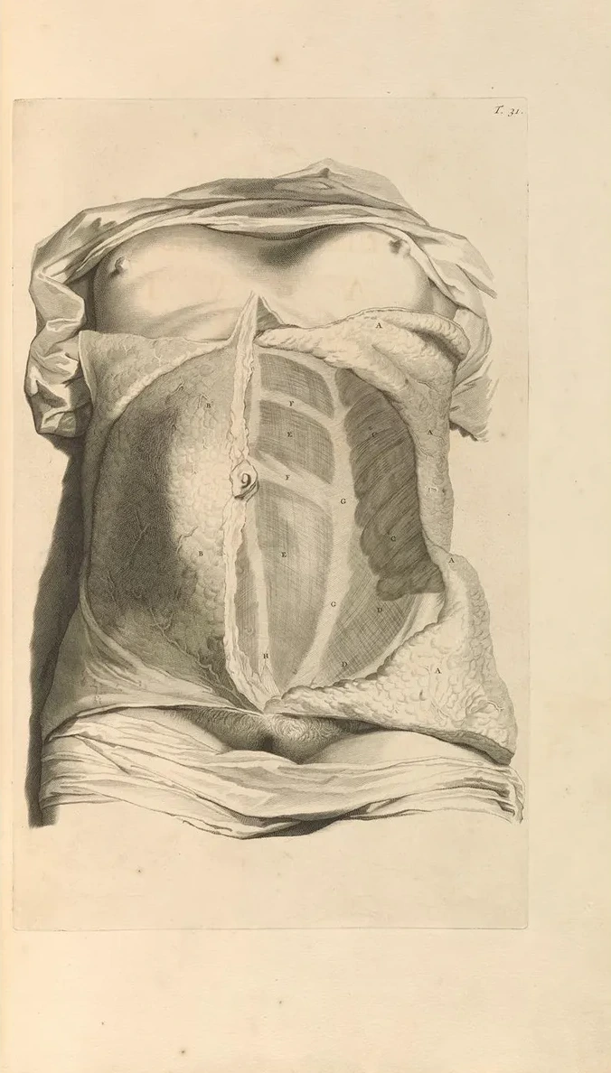 Anatomia Humani Corporis Pl.032