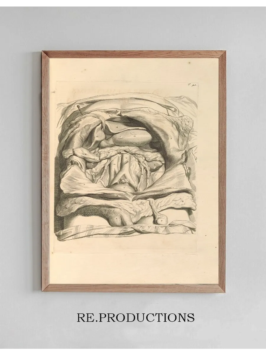 Anatomia Humani Corporis Pl.042