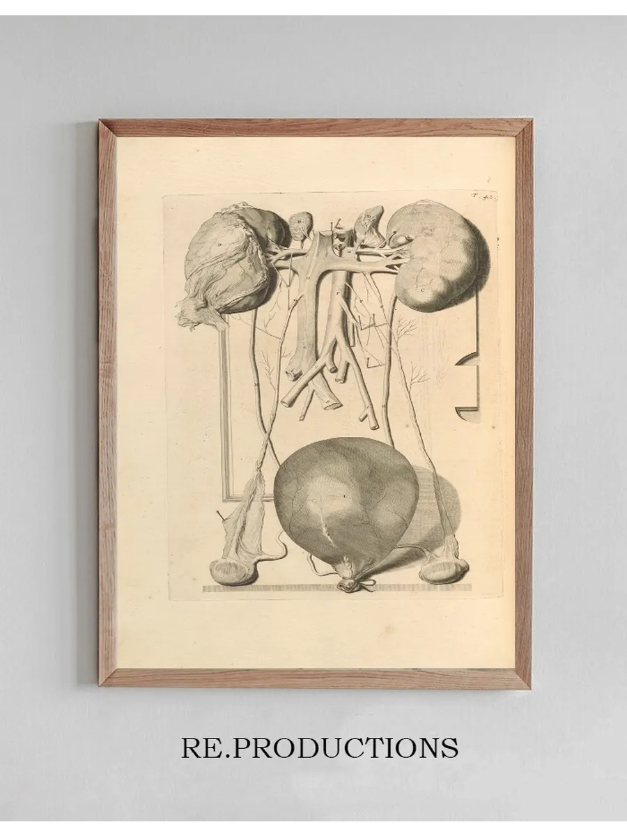 Anatomia Humani Corporis Pl.043