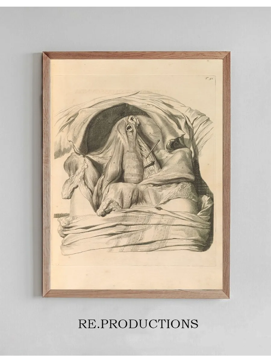 Anatomia Humani Corporis Pl.053