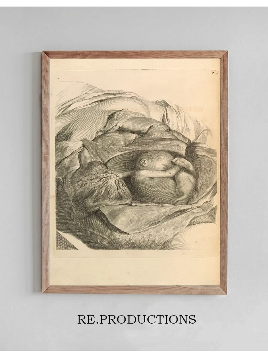 Anatomia Humani Corporis Pl.057