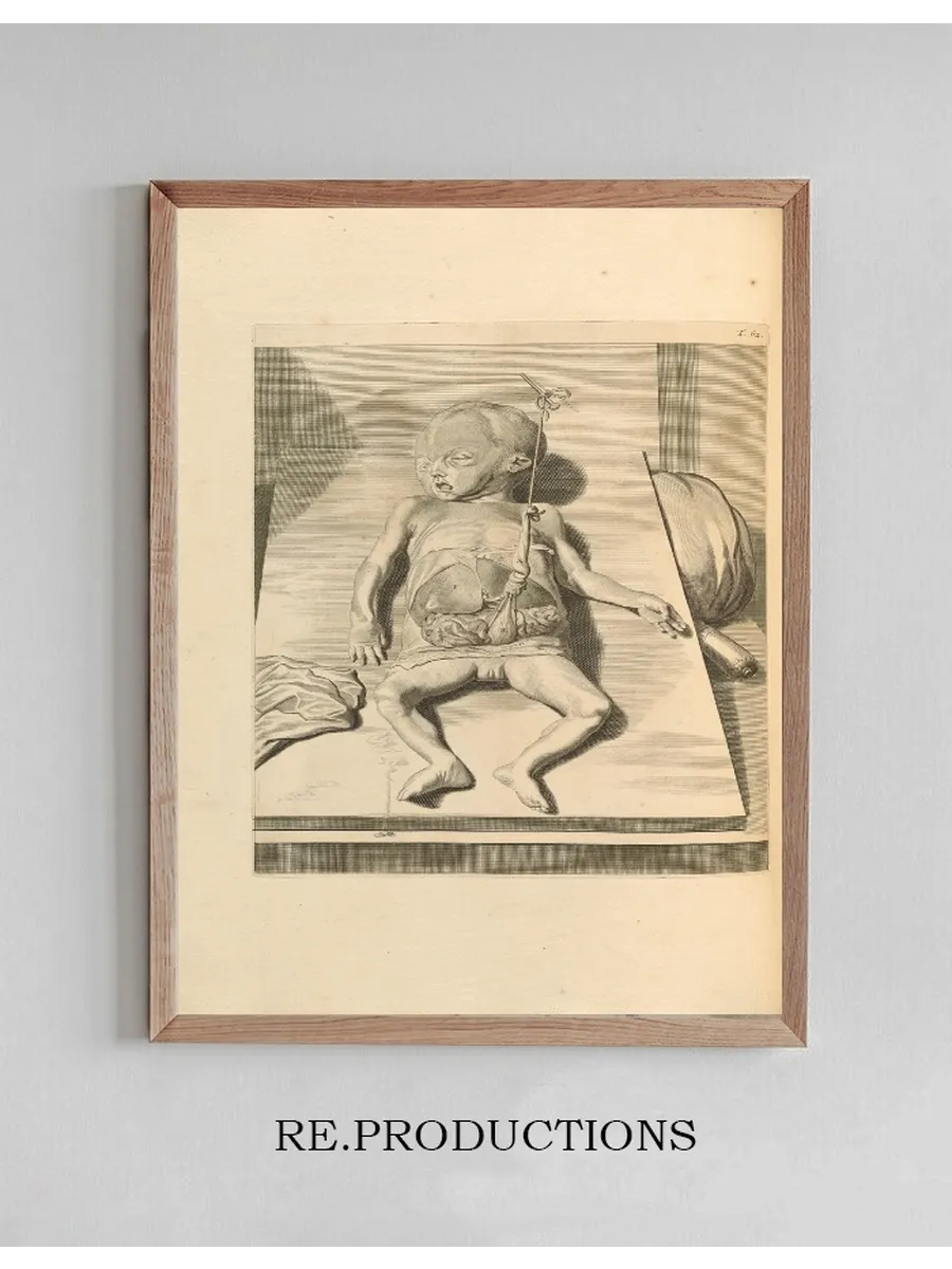 Anatomia Humani Corporis Pl.063