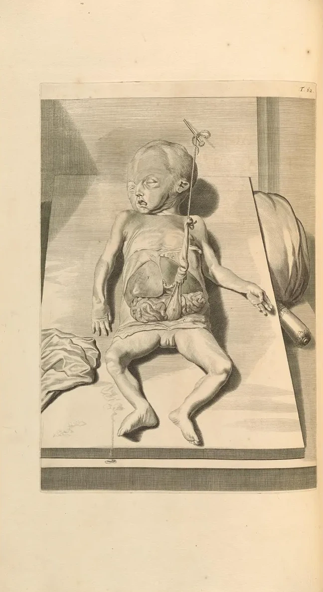 Anatomia Humani Corporis Pl.063