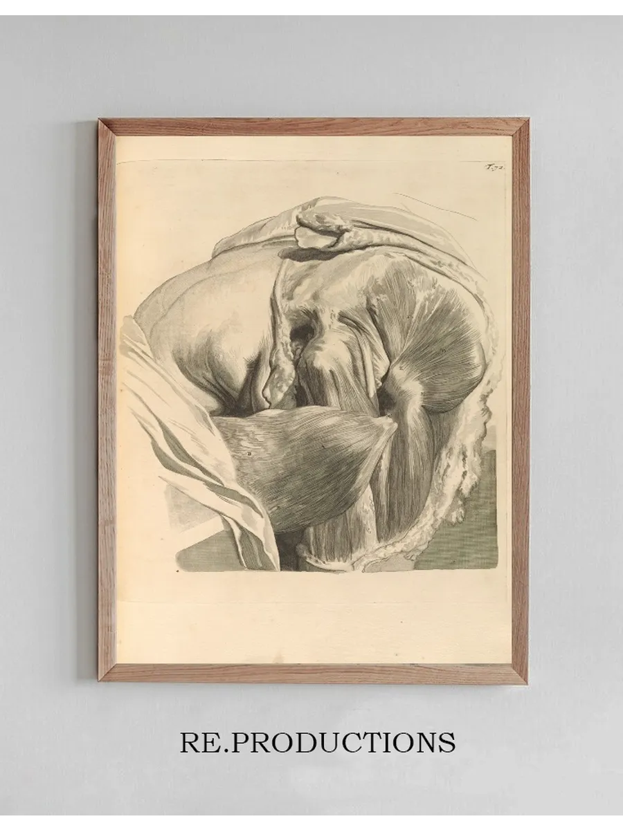 Anatomia Humani Corporis Pl.073