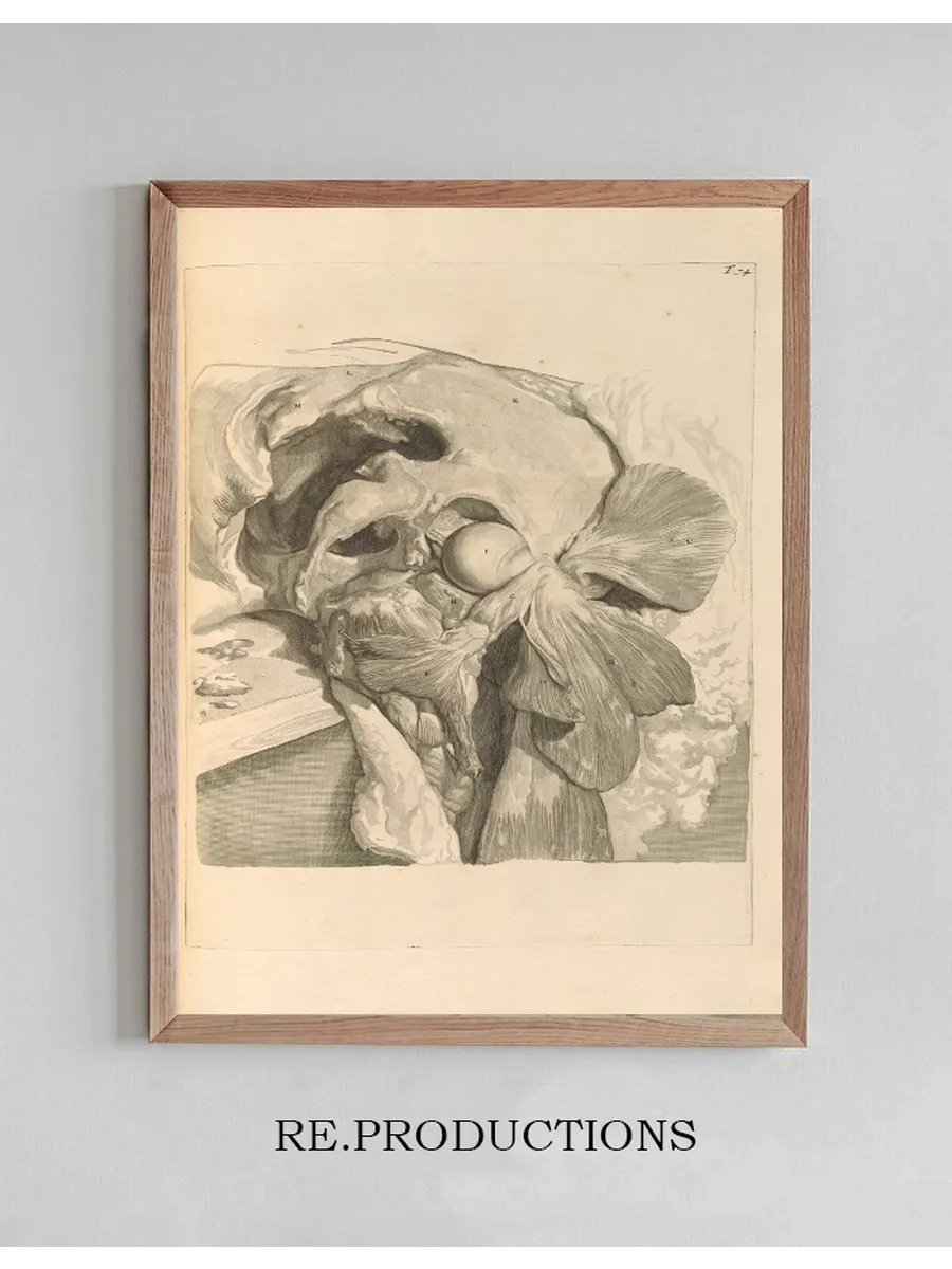 Anatomia Humani Corporis Pl.075