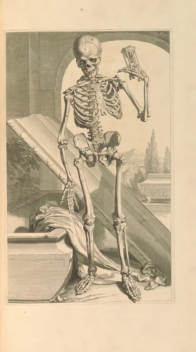 Anatomia Humani Corporis Pl.088