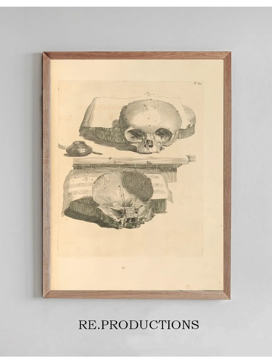 Anatomia Humani Corporis Pl.090